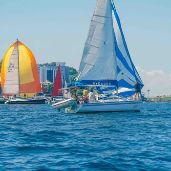 Vela de Oceano - Desafio de Verão Yacht