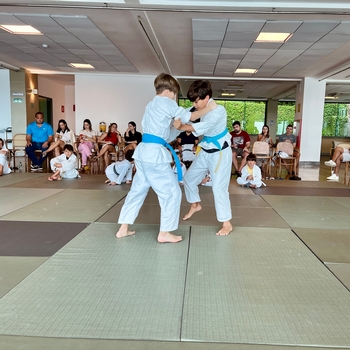 Torneio de Judô • Festival de Esportes Terrestres