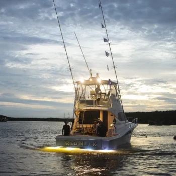 27/11 • Torneio de Bico 2 • Royal Charlotte Arena by Sedna 2025 