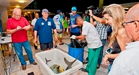 Campeonato de pesca agita mares baianos