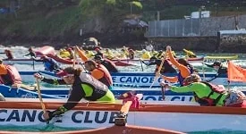 Natação e remo também se destacaram na Taça Comodoro