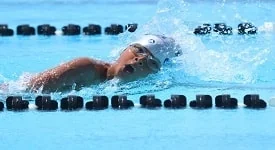 Equipe de natação encerra temporada com muitas conquistas