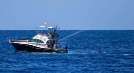 Começa a Temporada de Pesca YCB