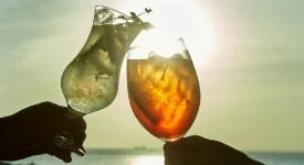 Um brinde à volta do Veleiro