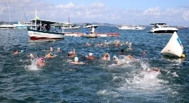 Yacht busca o penta baiano de Maratonas Aquáticas